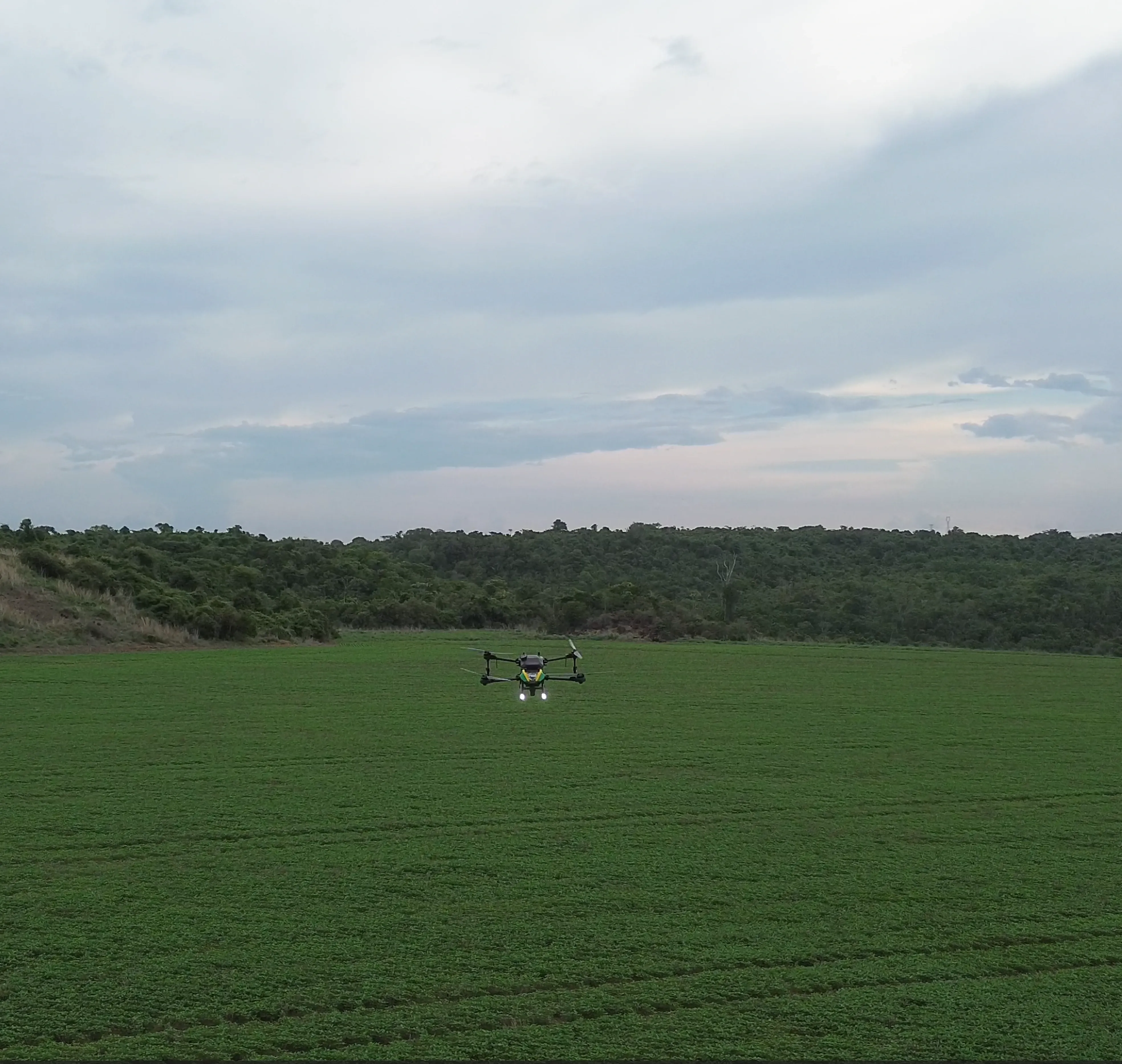 image 21.webp